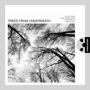 Trees From Underneath [Pure DSD]